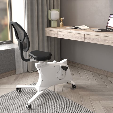 KKS 2-in-1 Fitness Bike Chair